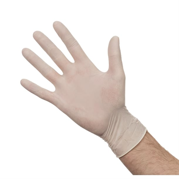 AGENDA LATEX POWDER FREE GLOVES - 20 PACK - Image 2