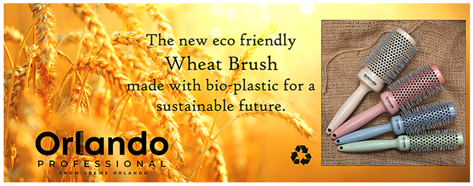 CREWE ORLANDO WHEAT BRUSH - 25MM - Image 3