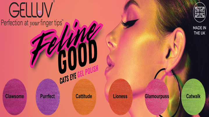 GELLUV GEL POLISH CATS EYE MAGNET - Image 4