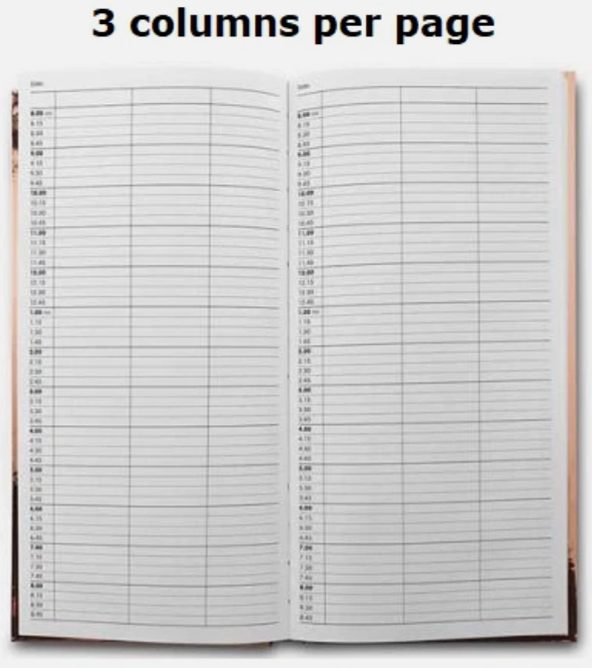 QUIREPALE APPOINTMENT BOOK 3 COLUMN - PINK