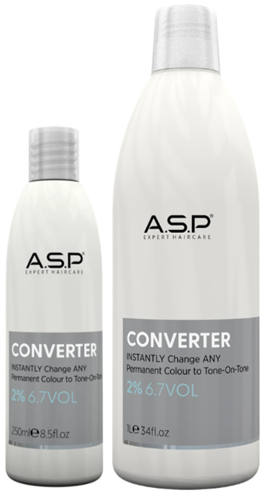 A.S.P CONVERTER - Image 3