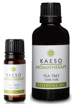 KAESO AROMA OIL TEA TREE