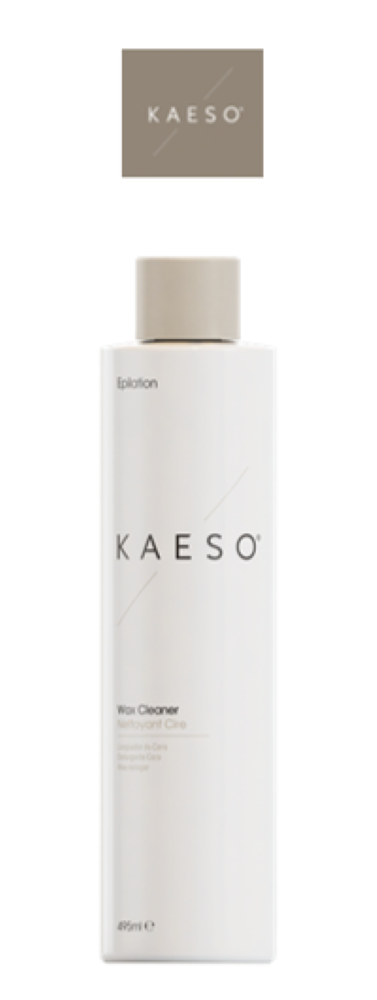 KAESO COMPLETELY CLEAN EQUIPMENT CLEANER 495ML
